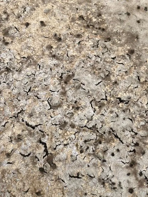 Slide of Flat Roof Pros