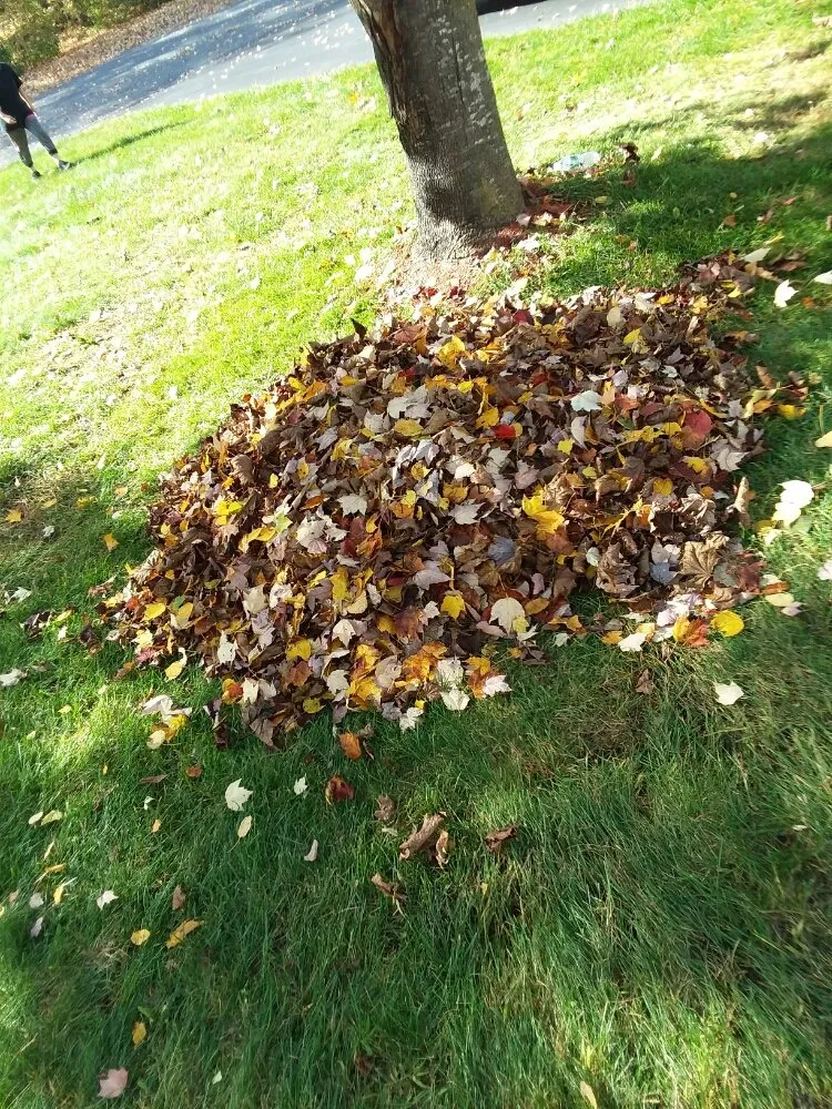 Slide of Flewelling SealCoating & Property Maintenance