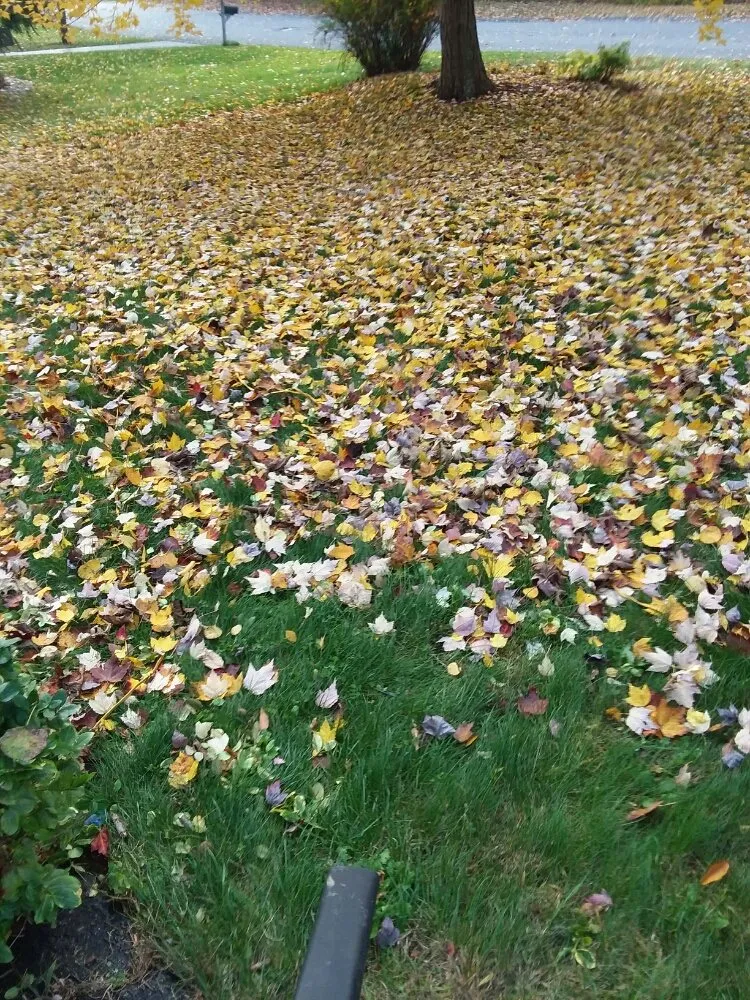 Slide of Flewelling SealCoating & Property Maintenance