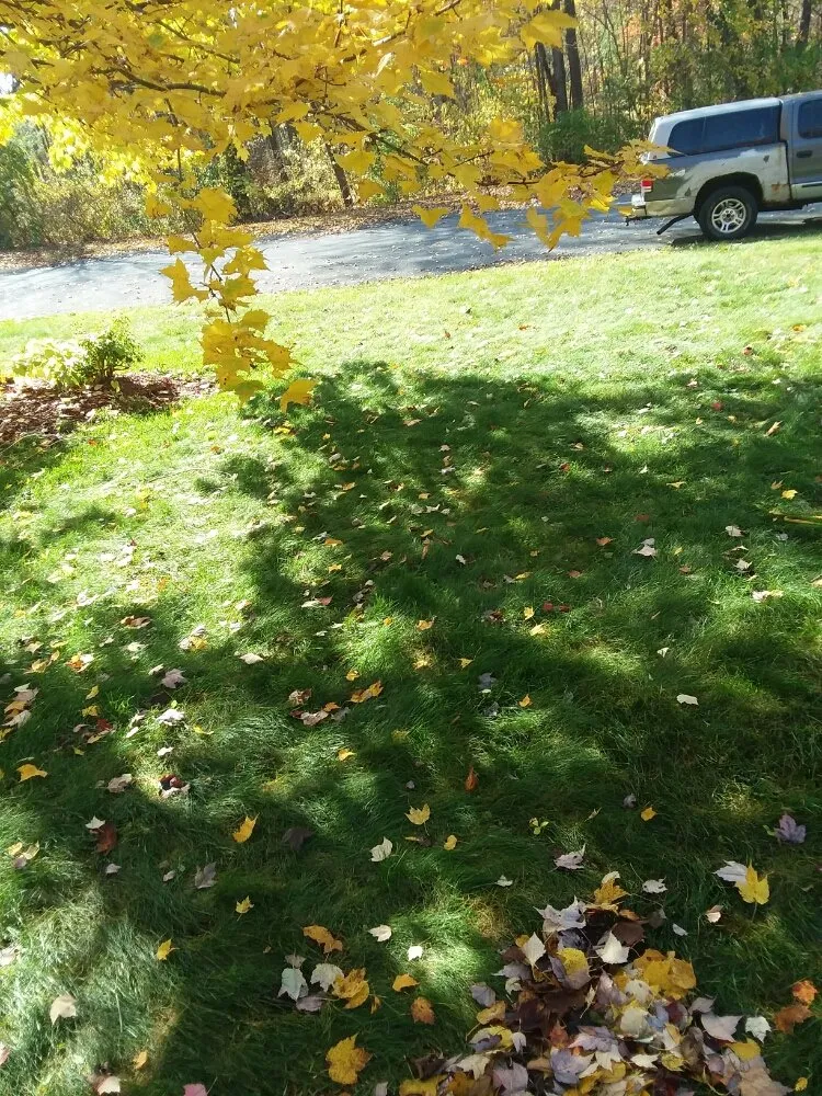 Slide of Flewelling SealCoating & Property Maintenance