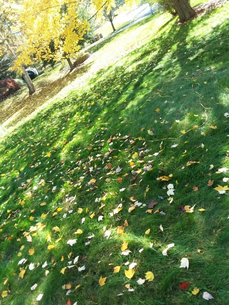 Slide of Flewelling SealCoating & Property Maintenance