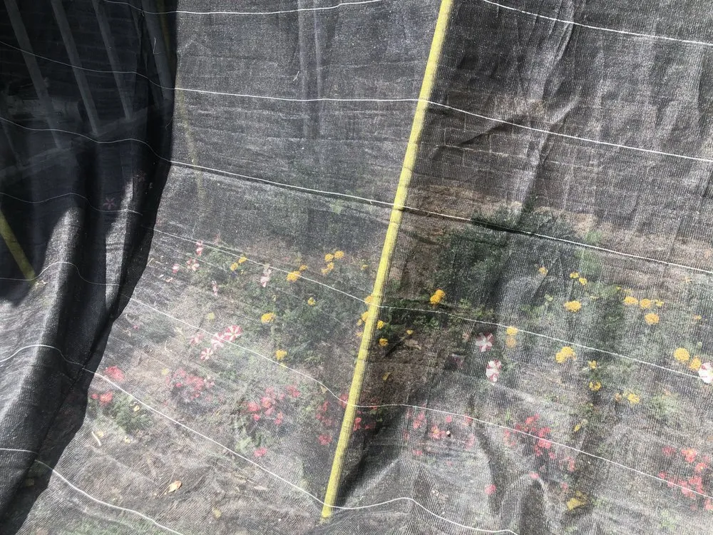 Slide of Florence Roofing