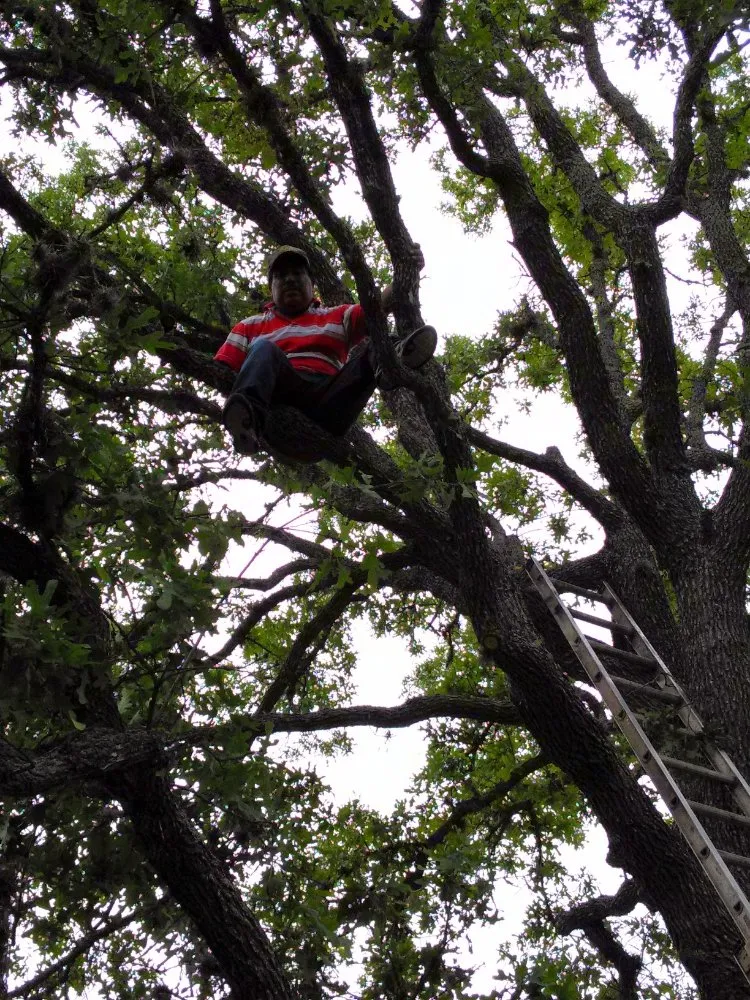 Slide of Flores Landscaping