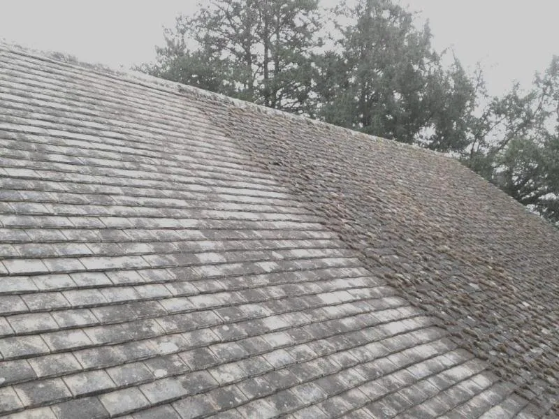 Slide of Flores Painting Company