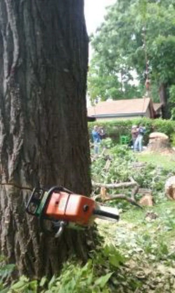 Slide of Flores Tree Service