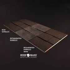 Slide of Florida Roof Saver