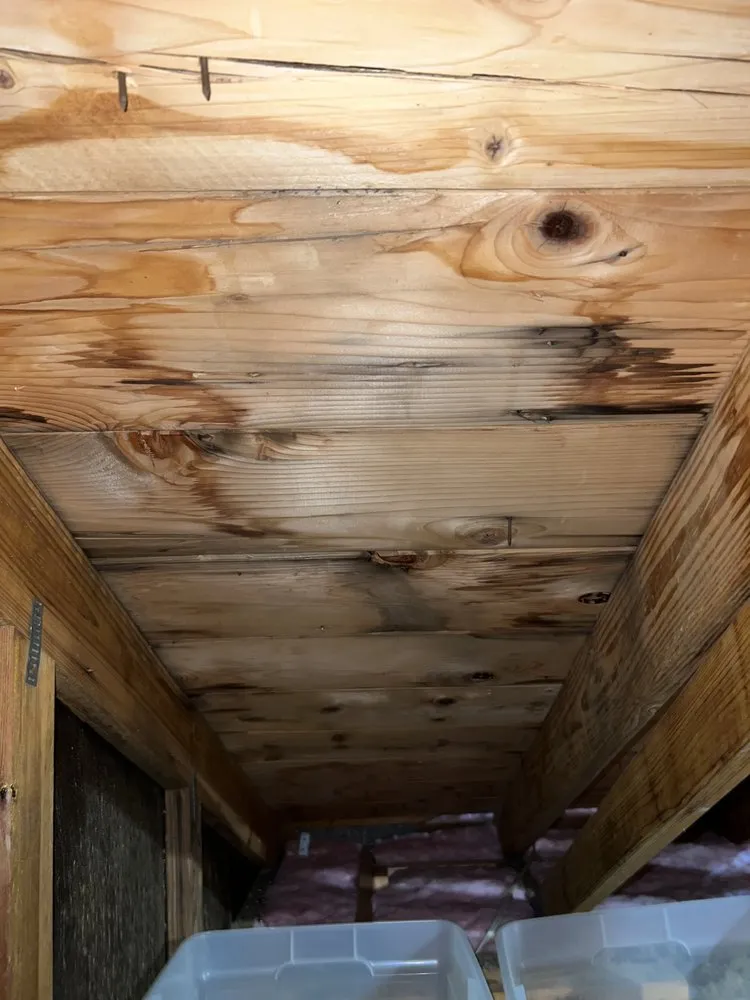 Trusted storm damage roof repair for residential properties across St. Petersburg, FL - Florida Roofing Specialists