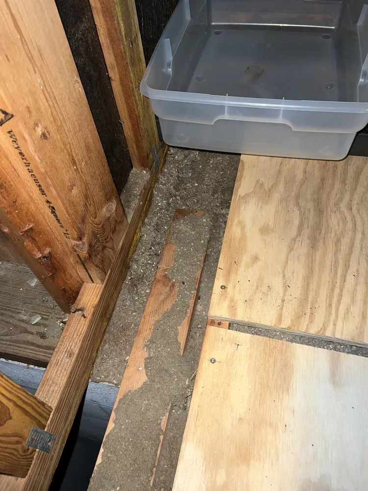 Professional storm damage roof repair for fast service across St. Petersburg, FL - Florida Roofing Specialists