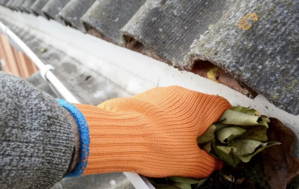 Slide of Floridas Best Gutter Cleaning