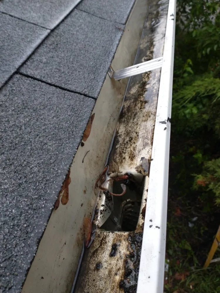 Slide of Flowing Gutters