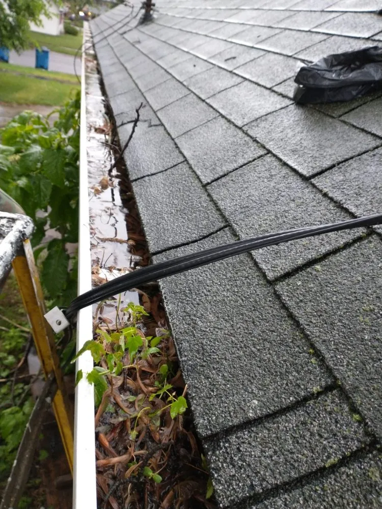 Slide of Flowing Gutters