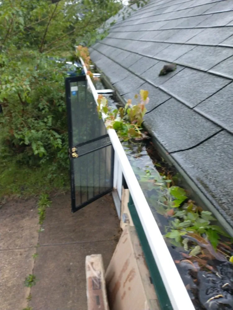 Slide of Flowing Gutters