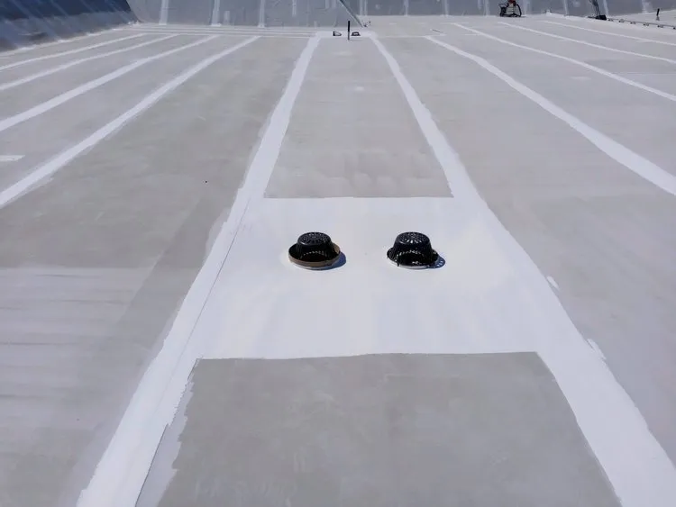 Slide of Fluid Applied Roofing