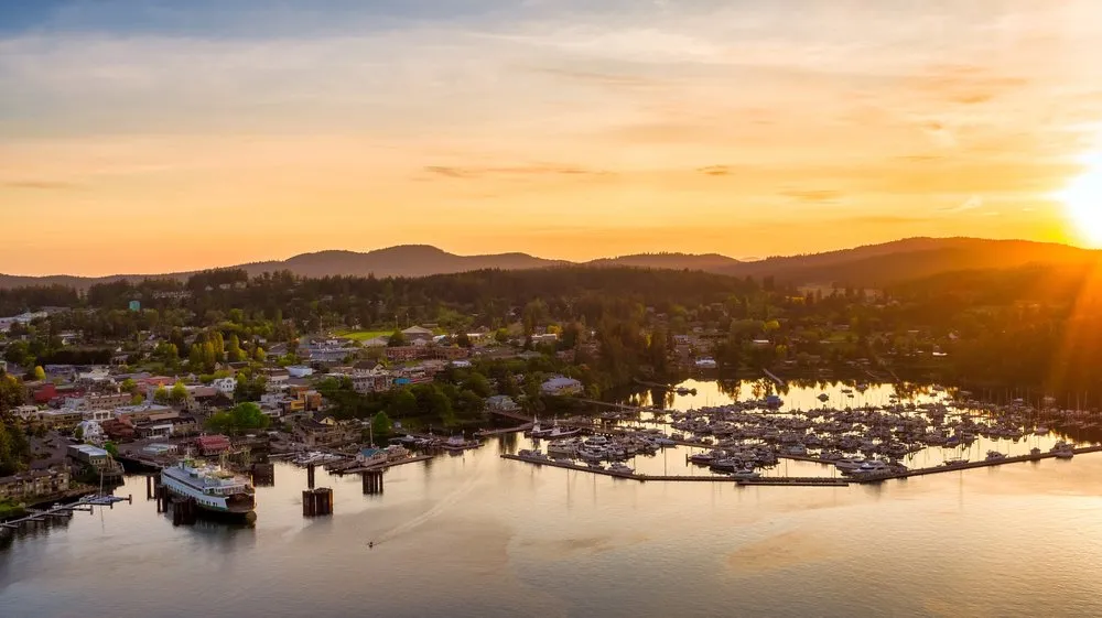 Slide of Fly Guys Roofing