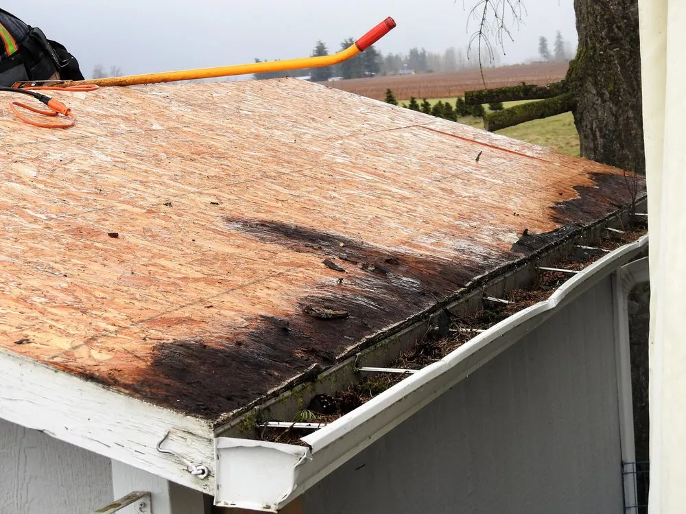 Slide of Fly Guys Roofing