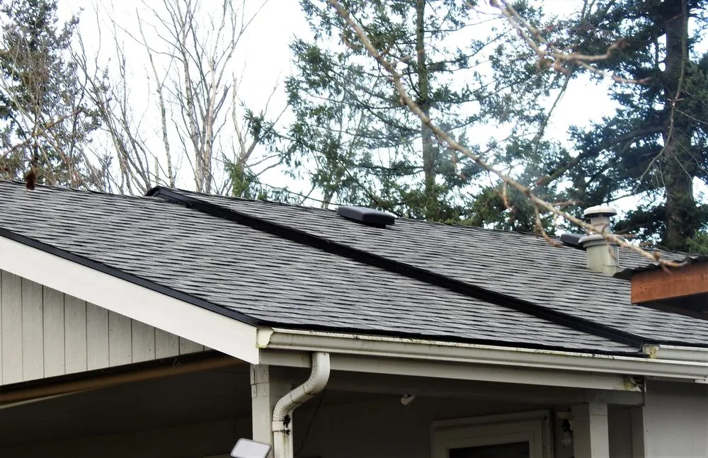 Slide of Fly Guys Roofing