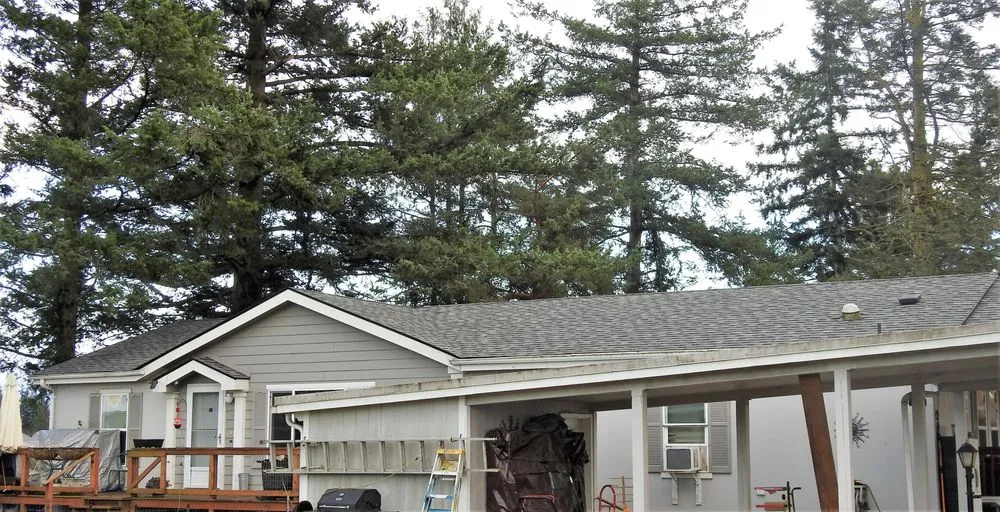 Slide of Fly Guys Roofing