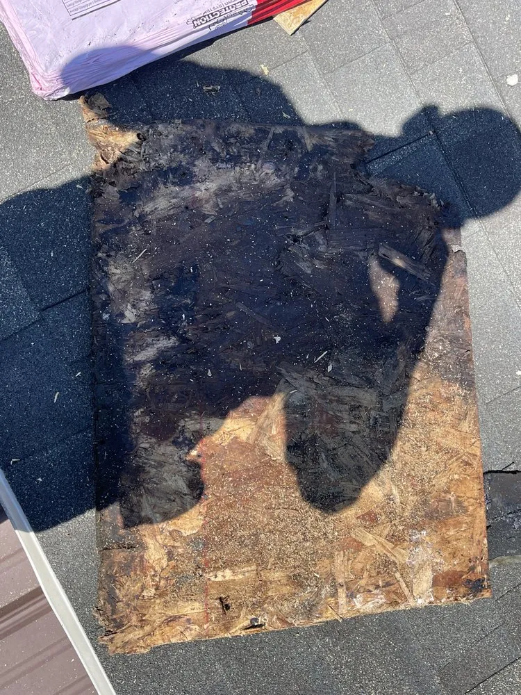 Slide of Fly High Roof/Restoration