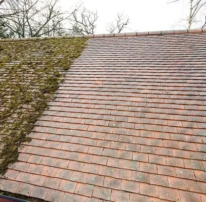 F&M Roof Cleaning Services Logo