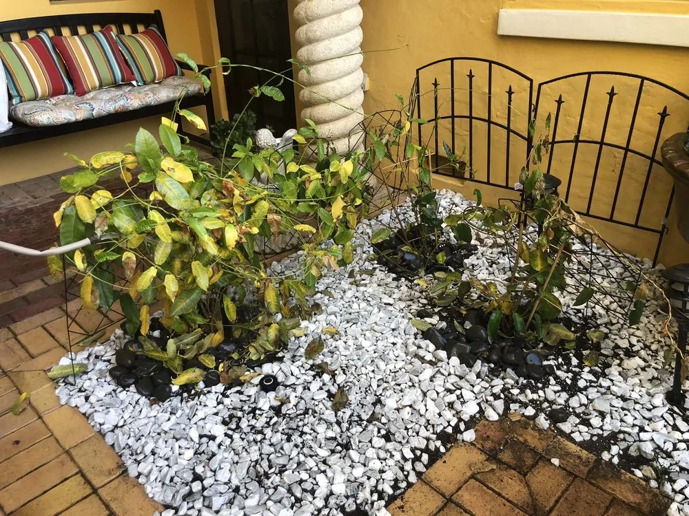 Slide of FoamBrite Roof Cleaning