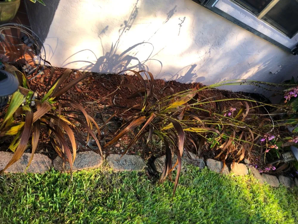 Slide of FoamBrite Roof Cleaning