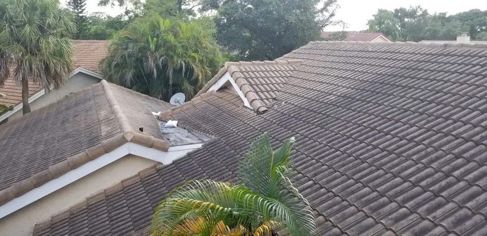 Slide of FoamBrite Roof Cleaning