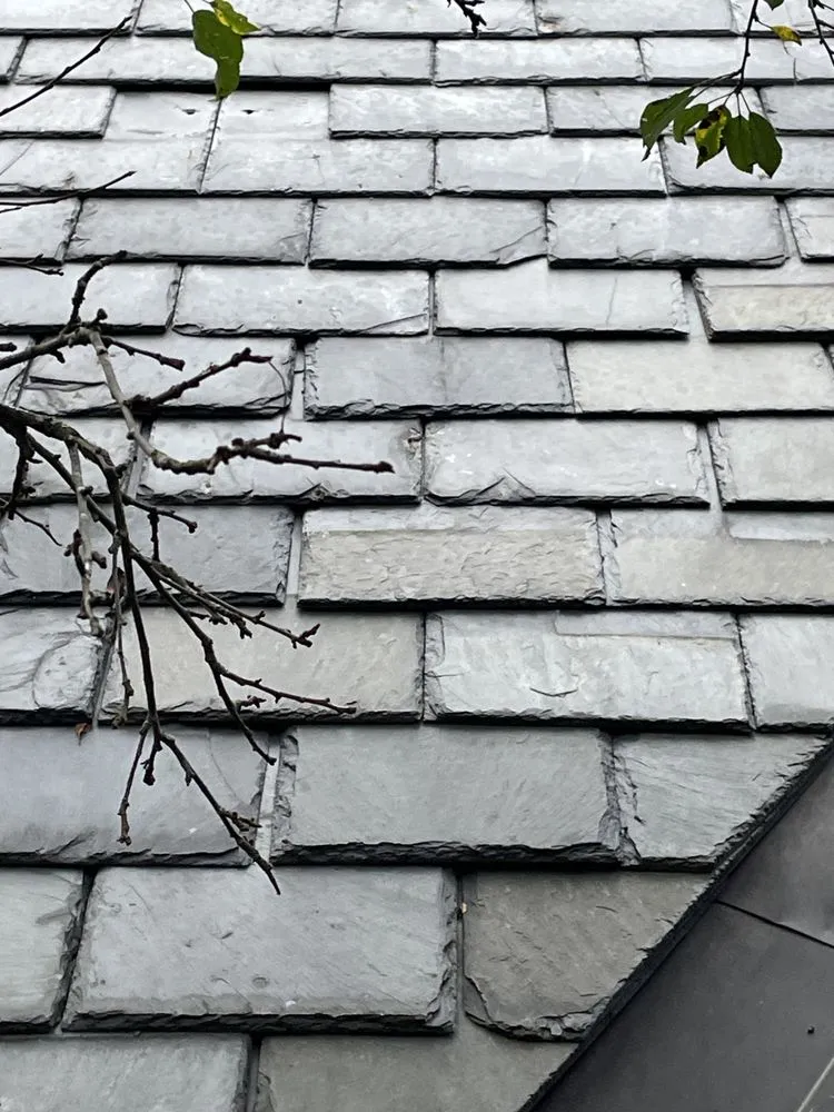 Slide of Foley contracting