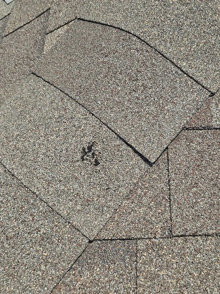 Slide of Force Roofing and Restoration