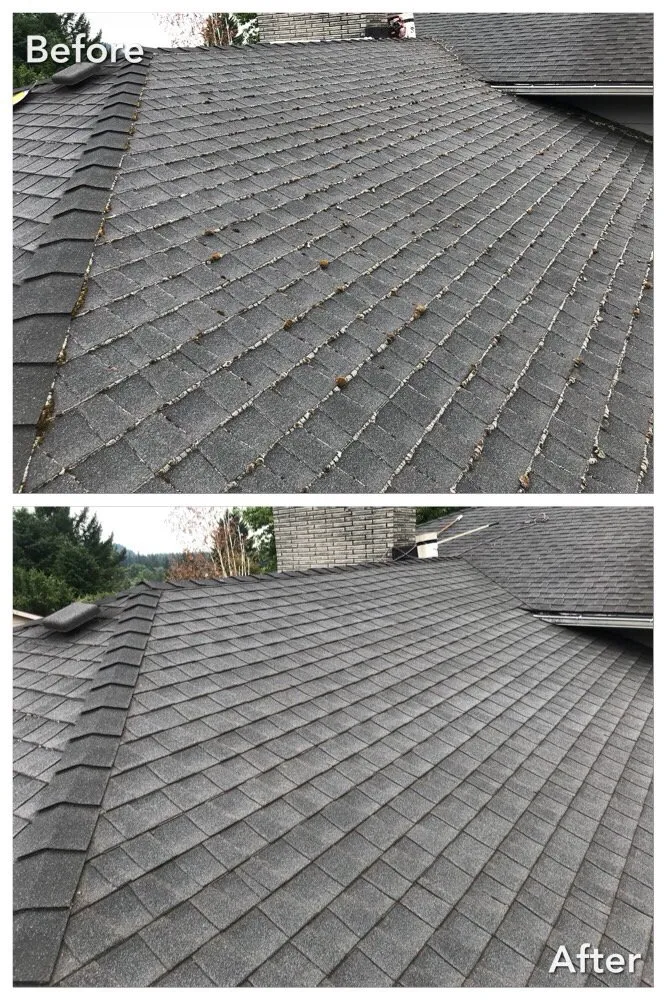 Slide of Force Washing