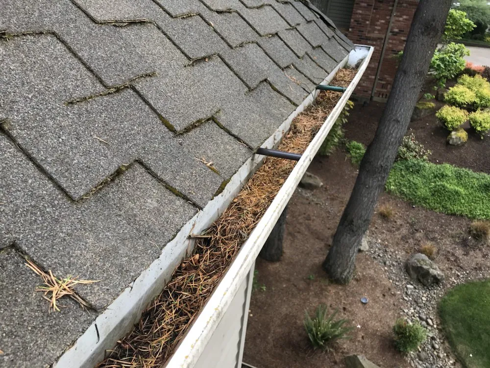 Slide of Force Washing