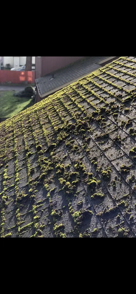 Slide of Force Washing