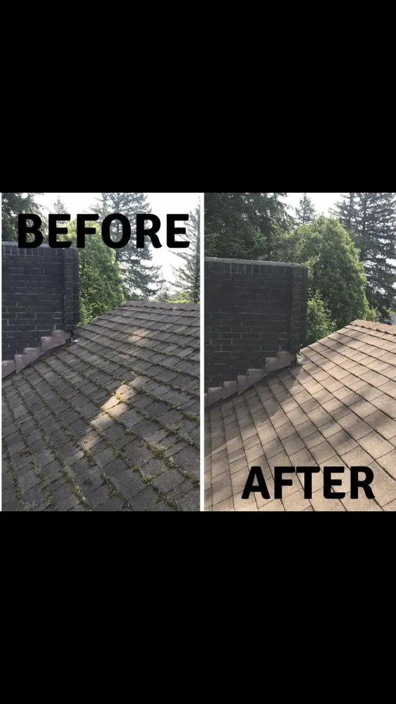 Slide of Force Washing