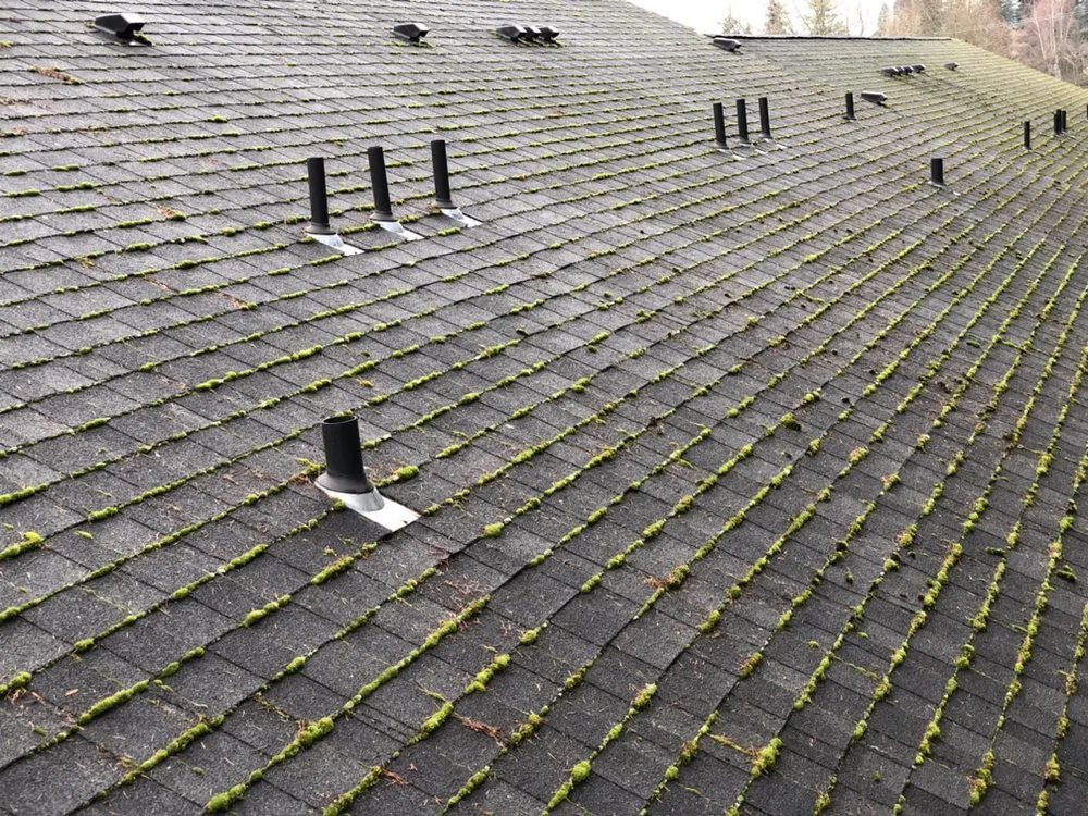 Slide of Force Washing