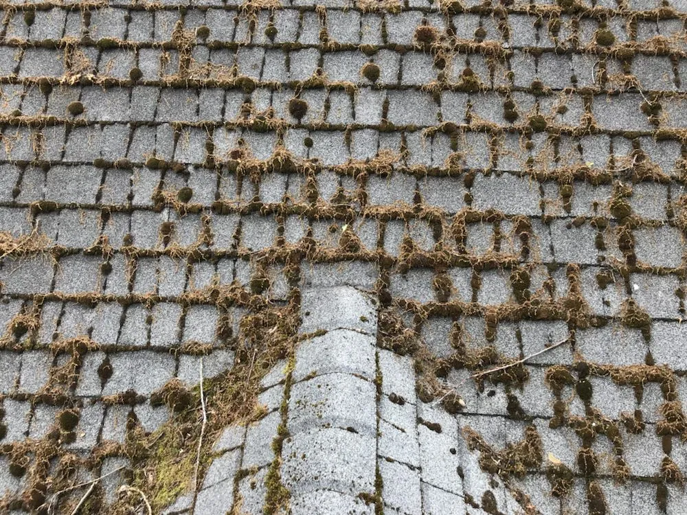 Slide of Force Washing