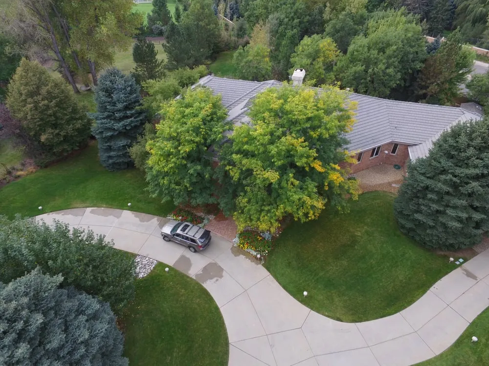 Slide of Forest Hills Restoration