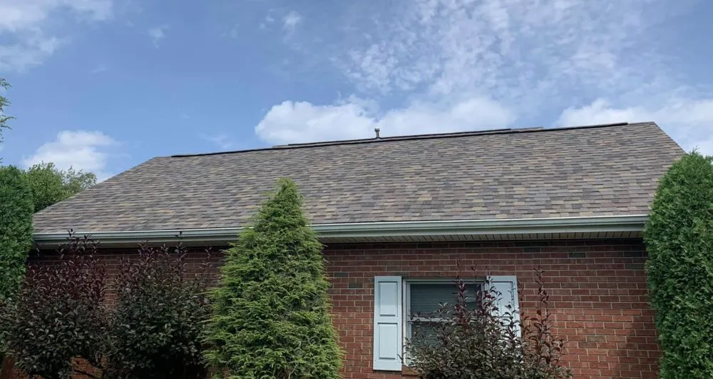 Slide of Forest Knoll Construction