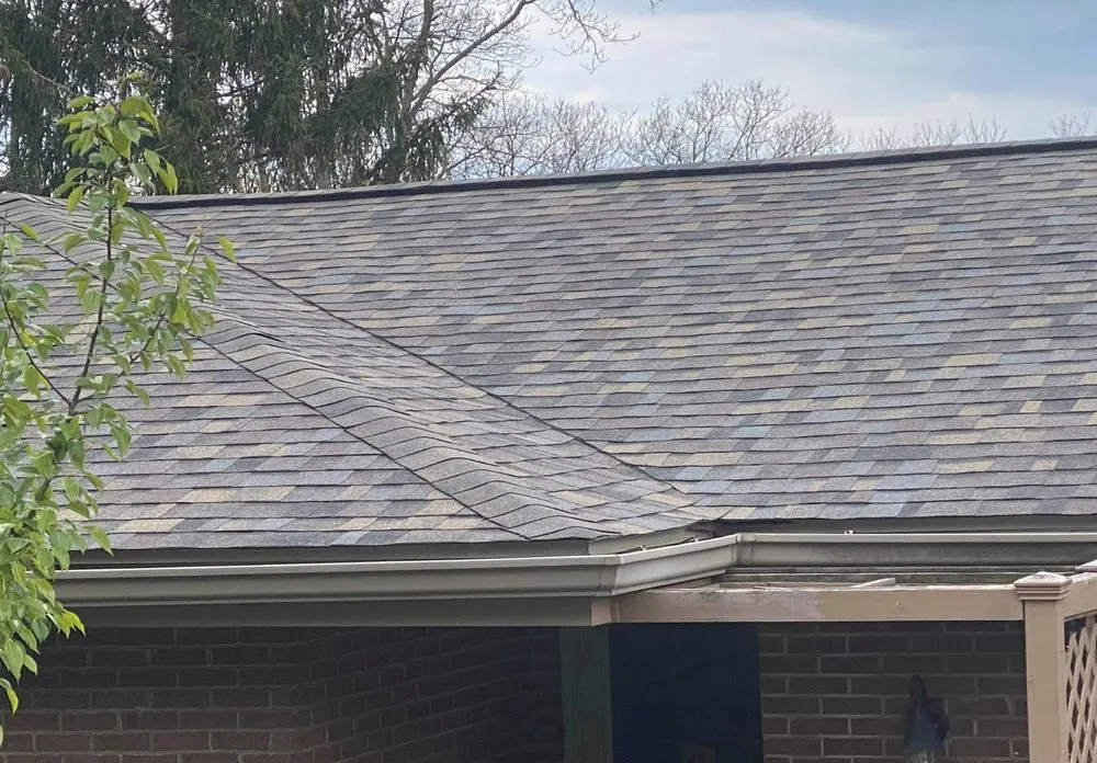 Slide of Forest Knoll Construction