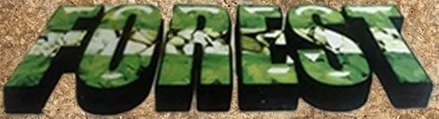 Slide of Forest Landscape & Construction