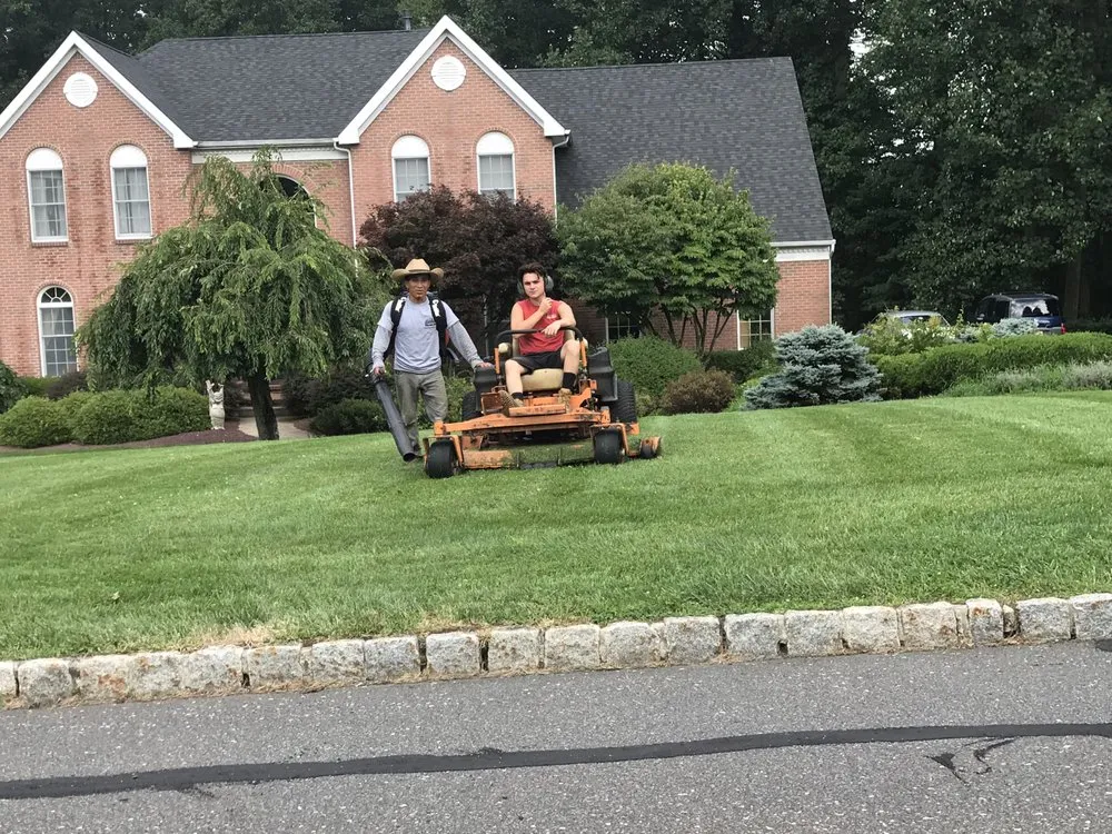 Slide of Forest Landscape & Construction