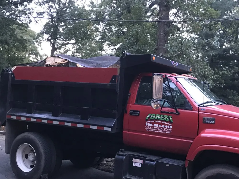 Slide of Forest Landscape & Construction