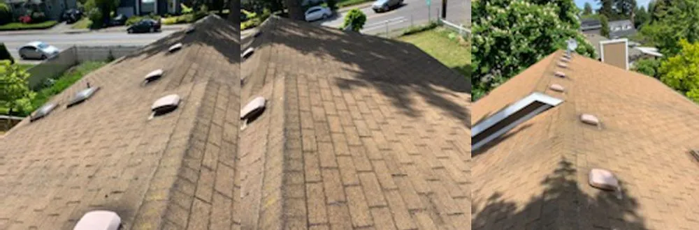 Slide of Forest Wood Construction