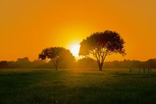 Slide of Forever Homes Service