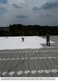 Slide of Forrest and Sons