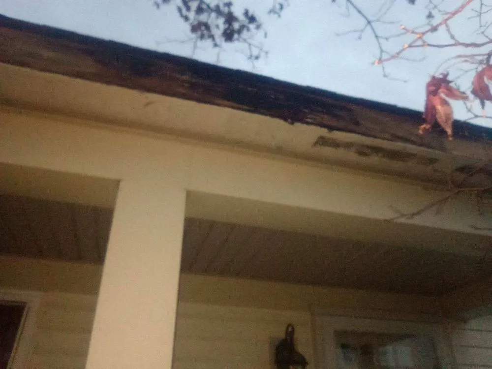 Slide of Forrest N company