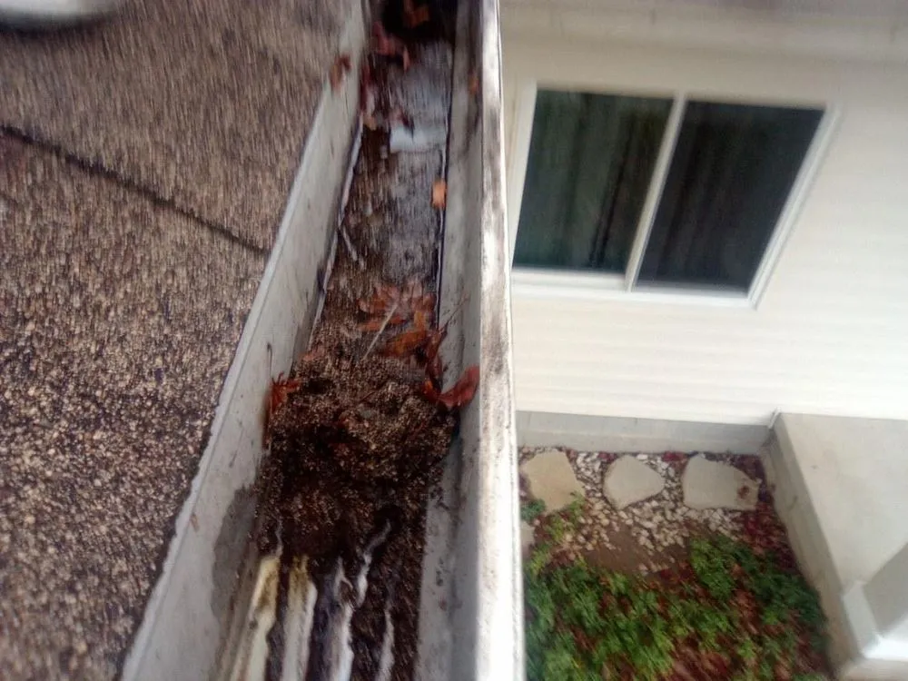 Slide of Forrest N company