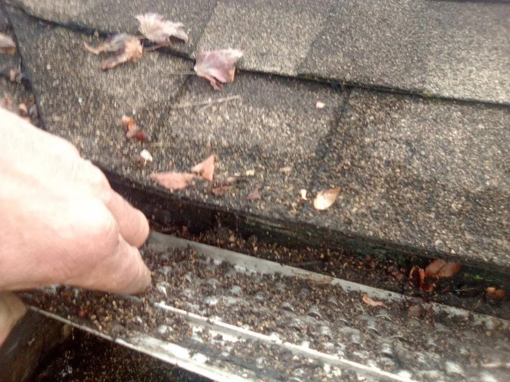 Slide of Forrest N company