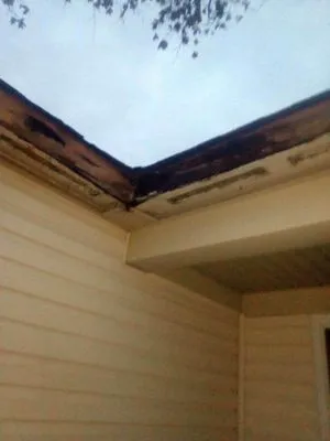 Forrest N company Logo