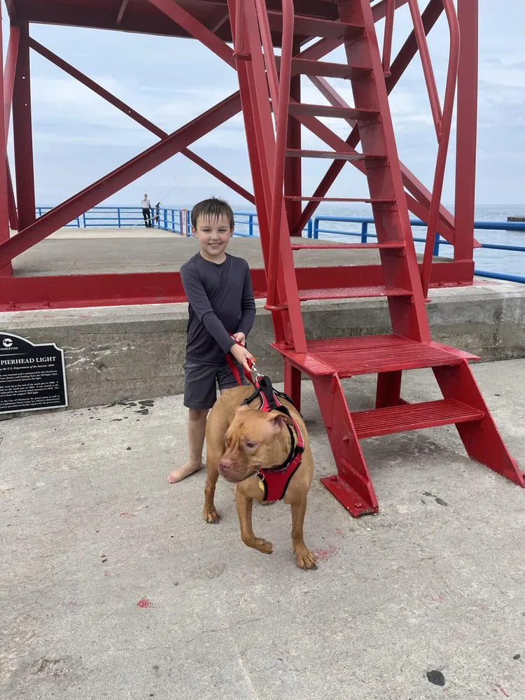 Slide of Forstners' Carpentry