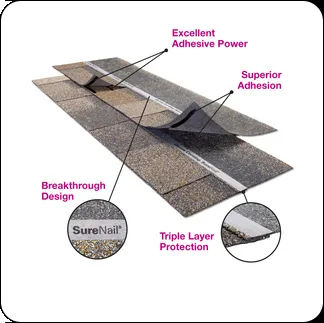 Slide of Forte Roofing