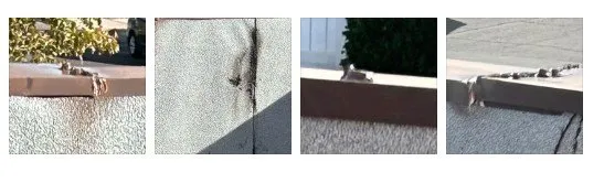 Slide of Fortitude Roofing